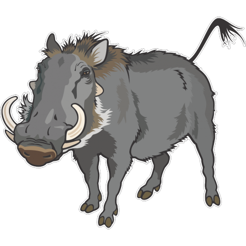 Common warthog Wild boar Clip art Vector graphics.