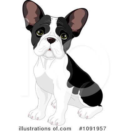 French bulldog clipart 20 free Cliparts | Download images on Clipground ...