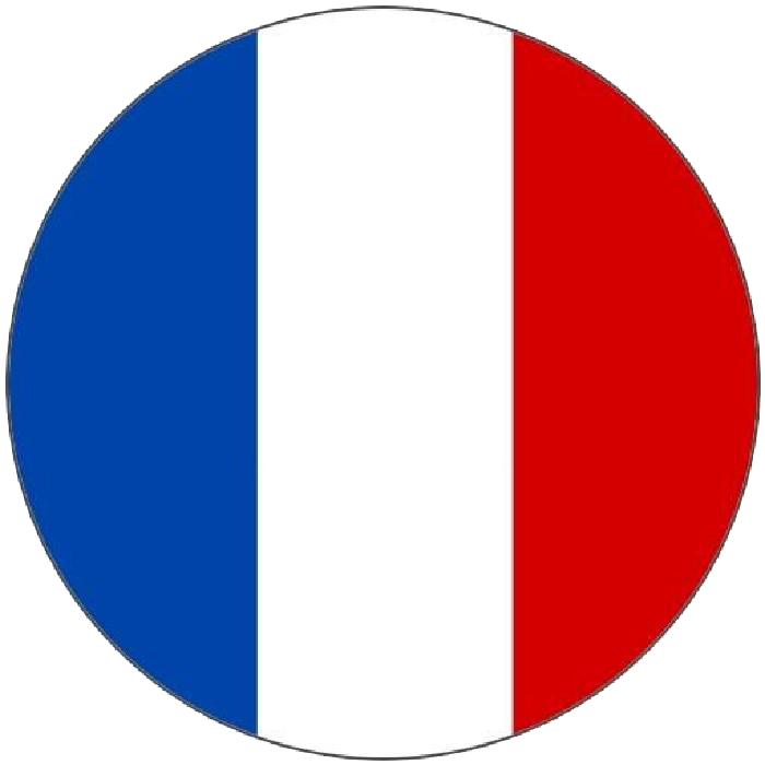 Flag of France Language French Translation.