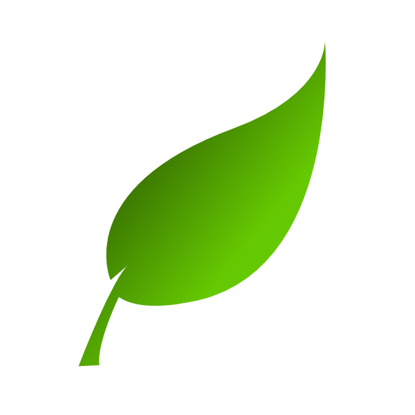Fresh green leaves clipart png.