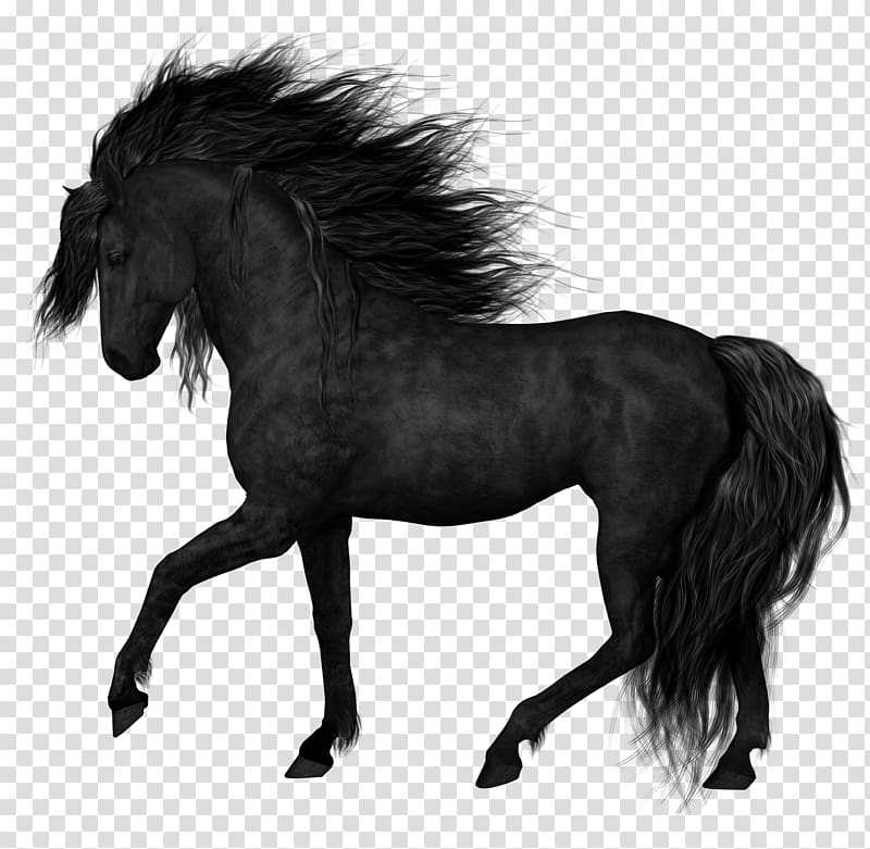 friesian clipart 10 free Cliparts | Download images on Clipground 2024