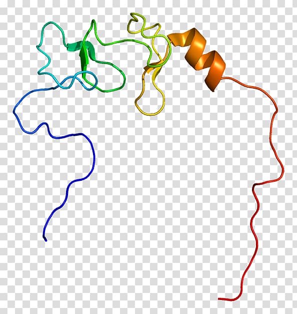 Protein structure LIM domain Protein Data Bank Protein.