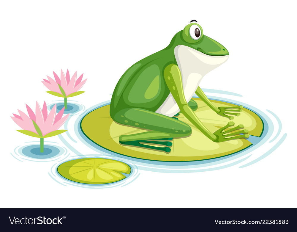 frog lily pad clipart 10 free Cliparts | Download images on Clipground 2022