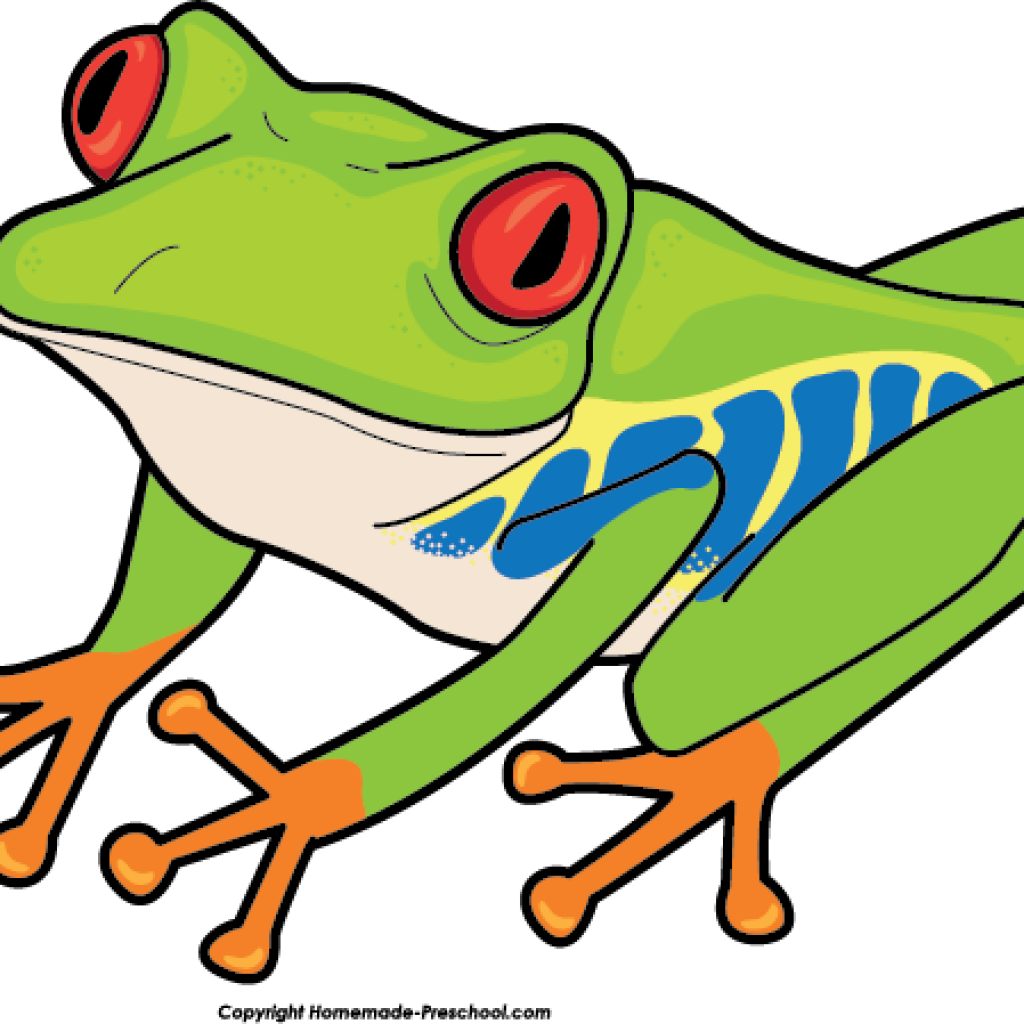 Free Frog Clipart Free Frog Clipart Ready For Personal.