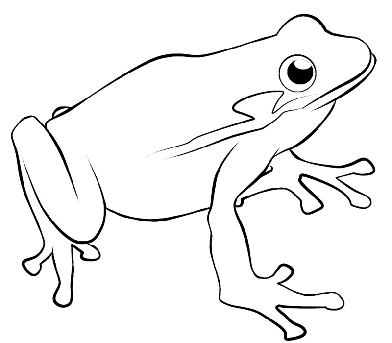 Free Frog Outline, Download Free Clip Art, Free Clip Art on.