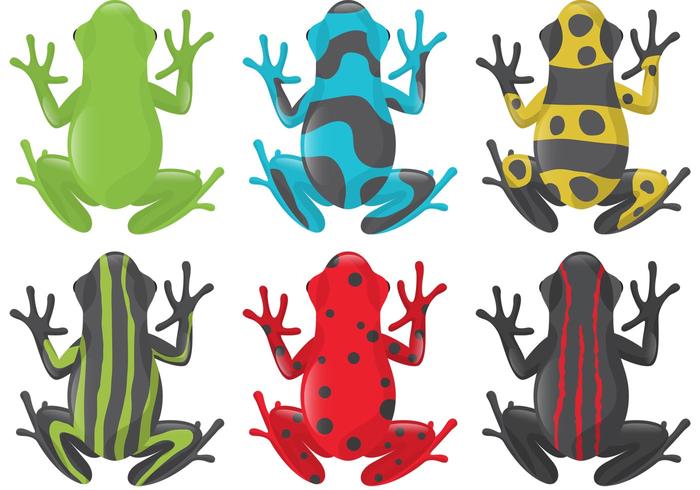Poison Frog Vectors.