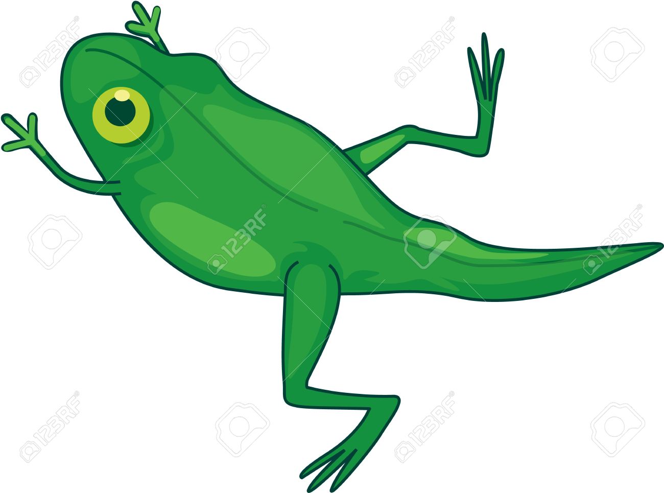 Froglet Clipart 10 Free Cliparts Download Images On Clipground 2024