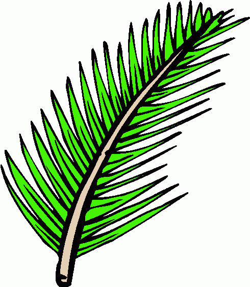 Palm frond palm leaf clipart 20 free Cliparts | Download ...