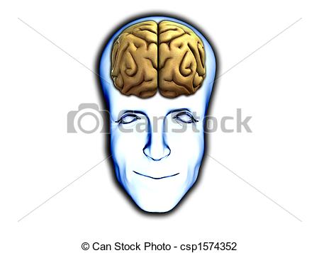 Illustration head with brain frontal view clipart.