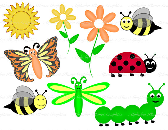 Raupe schmetterling clipart.