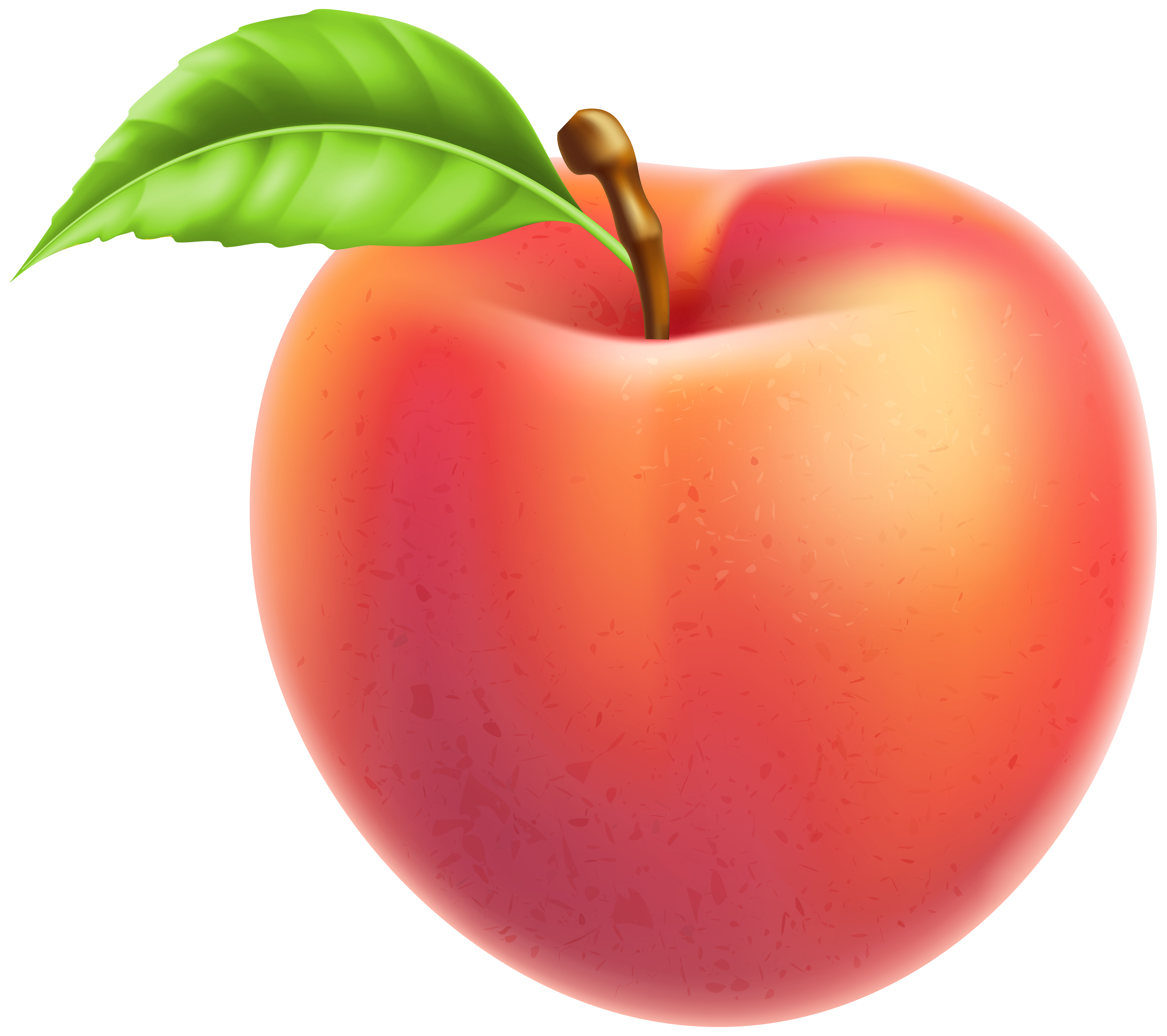 Peach Fruit PNG Clipart.