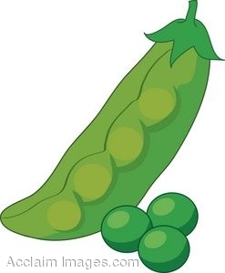 Clipart Illustration of a Pea Pod.