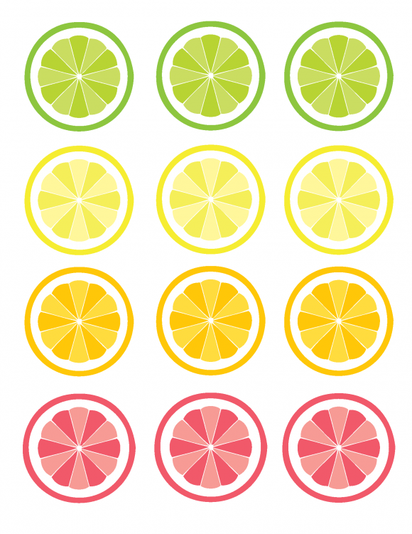 Fruit Slices Straw Toppers Free Printables.