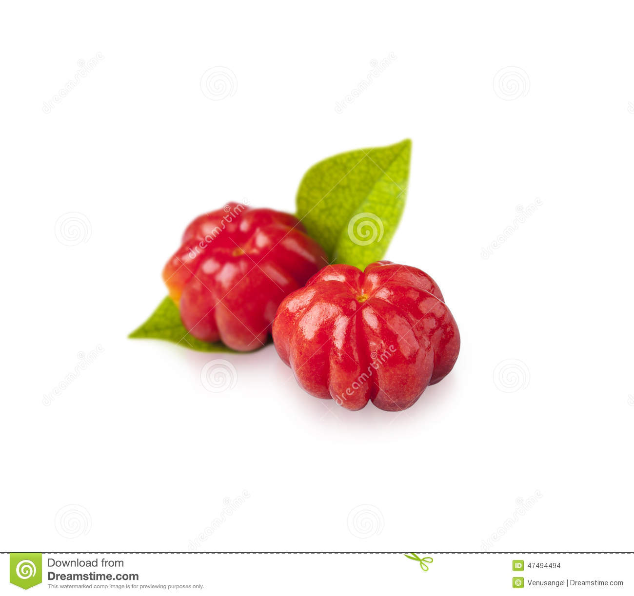 Suriname Cherry, The Tropical Fruit Stock Photo. Suriname Cherry, The Tropical Fruit Stock Photo.