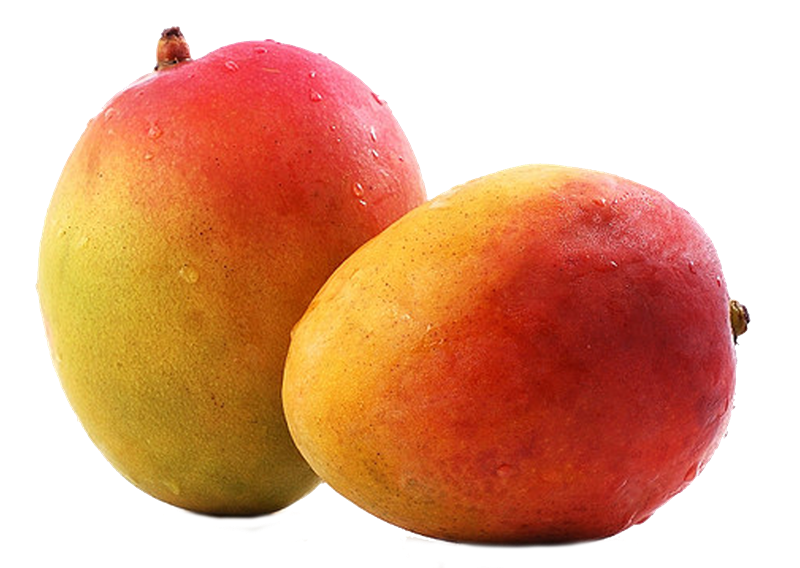 Mango Fruit.