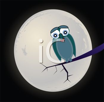 Sad Little Owl Sitting on a Branch in Full Moon.