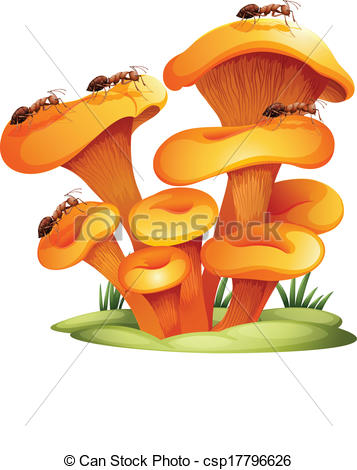 Illustrazioni vettoriali di funghi, Formiche.