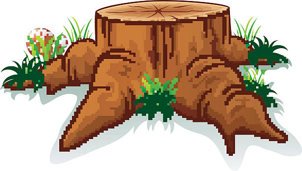 Tree Bark Fungus Drawings Clip Art, Vector Images & Illustrations.
