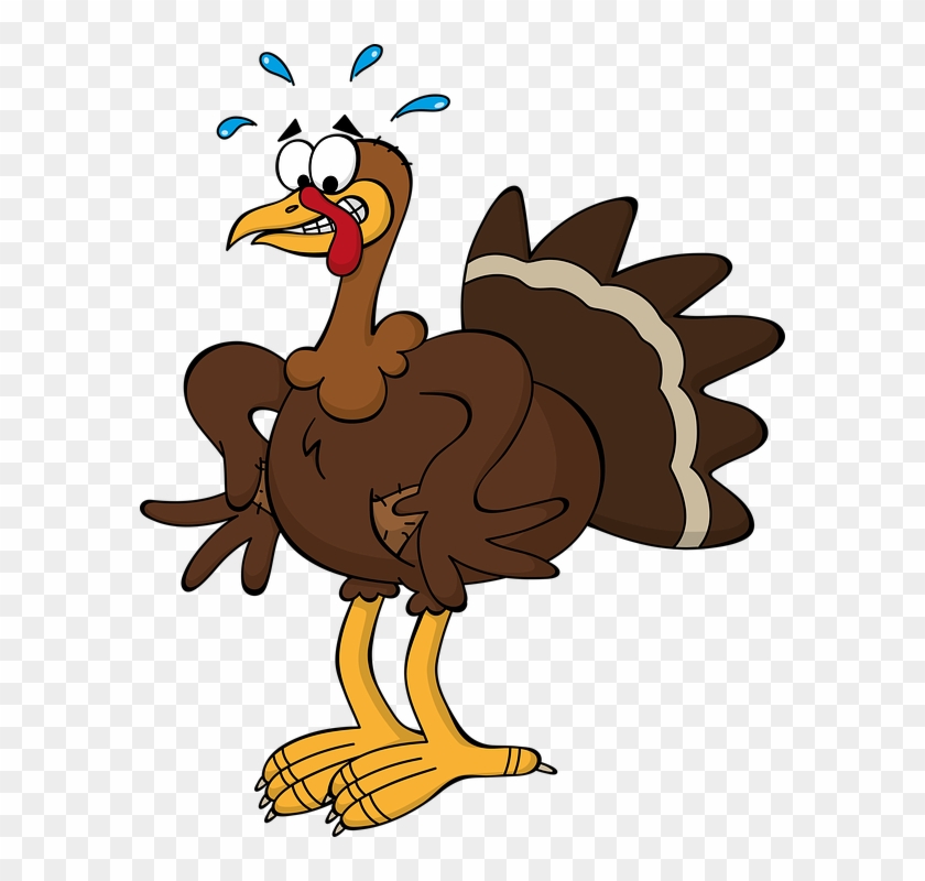funny thanksgiving pictures clip art 10 free Cliparts | Download images
