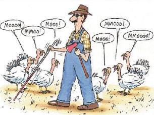 Funny Thanksgiving Turkey Clipart.