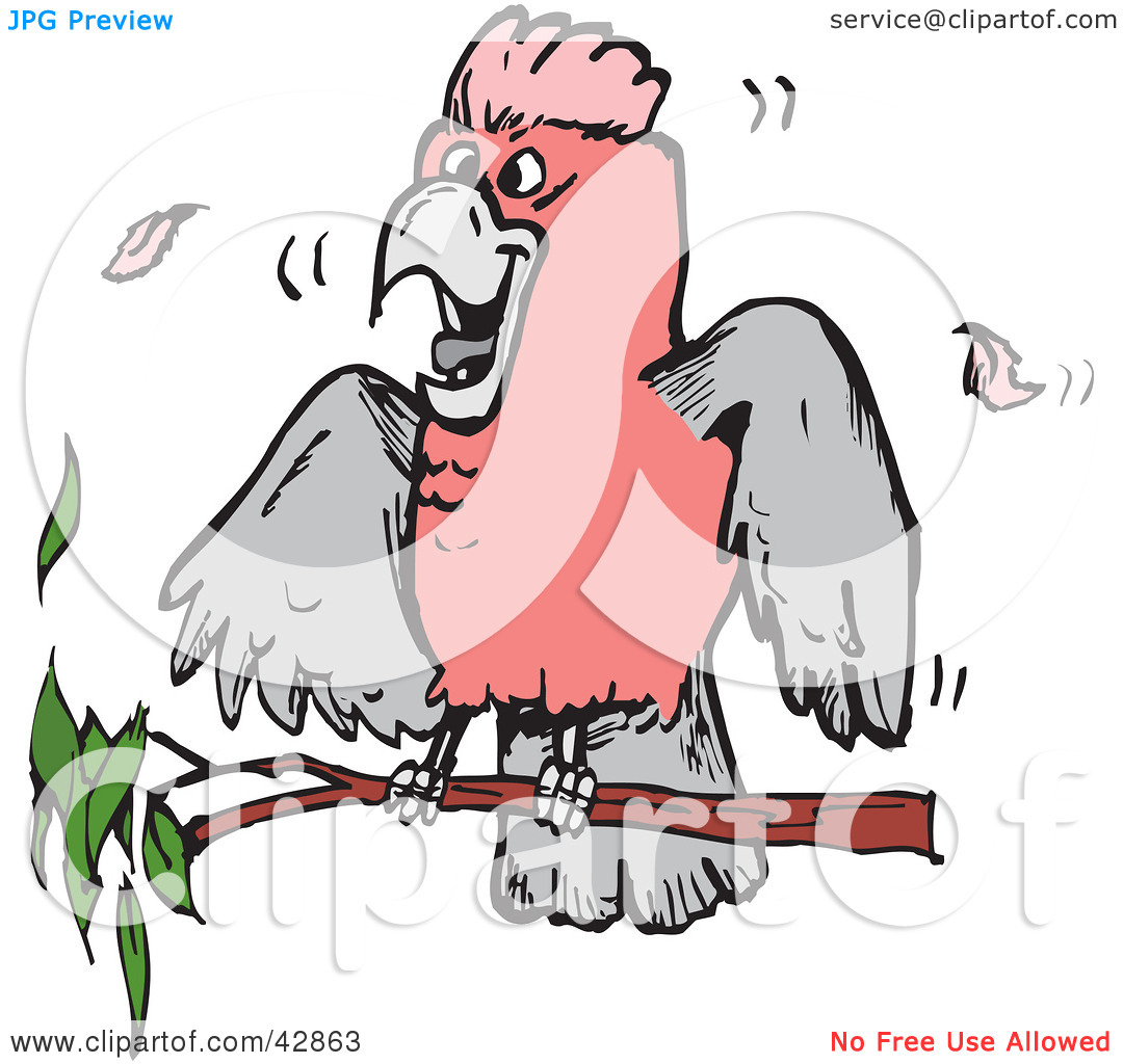 Clipart Illustration of a Pink And Grey Galah Cockatoo Bird On A.