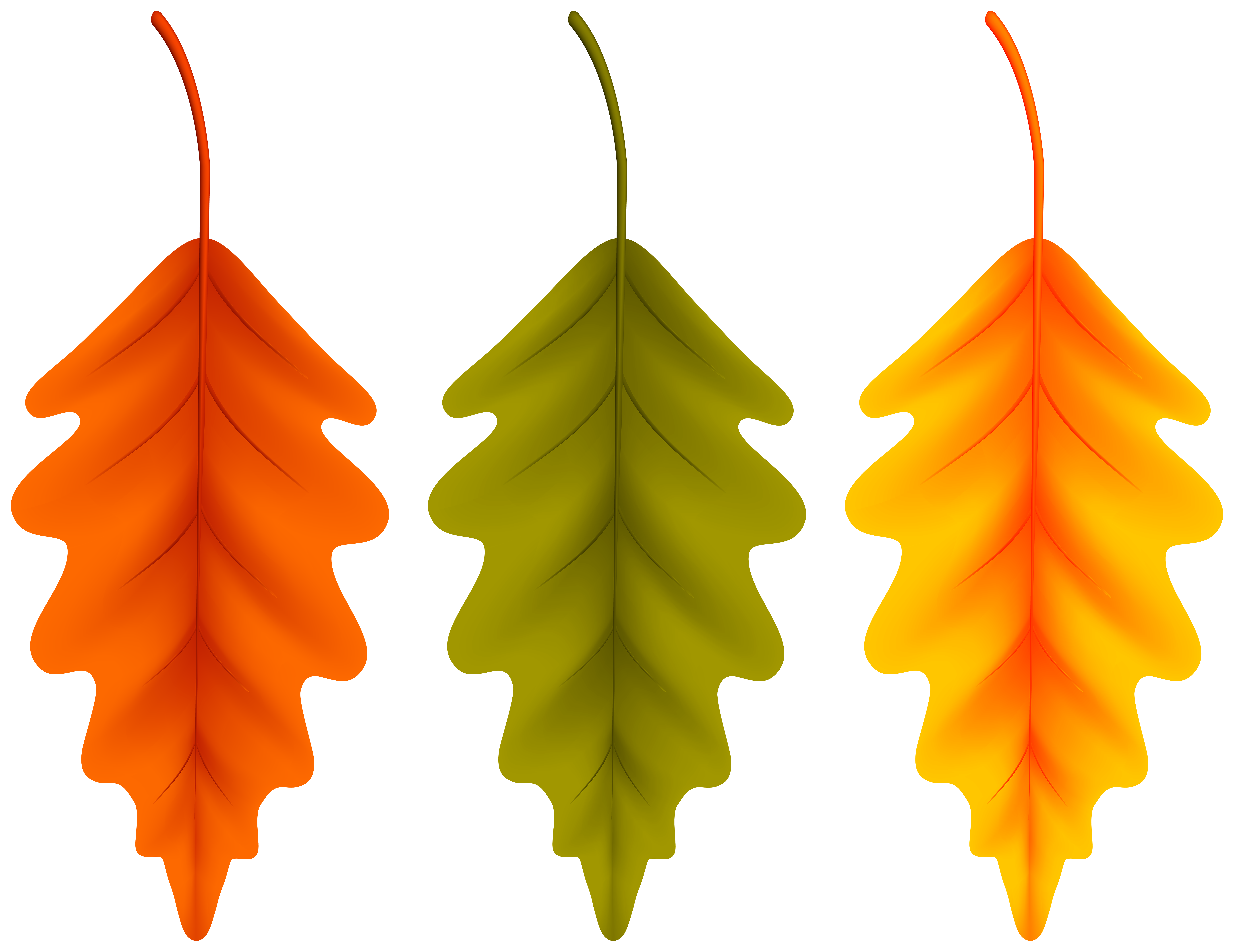 Autumn Set Leaves PNG Clipart.