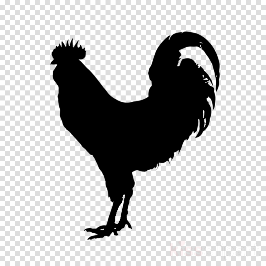Chicken Logo clipart.