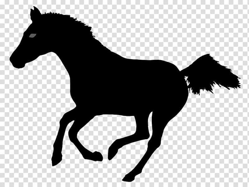 Horse Silhouette Illustration, Running horse transparent.