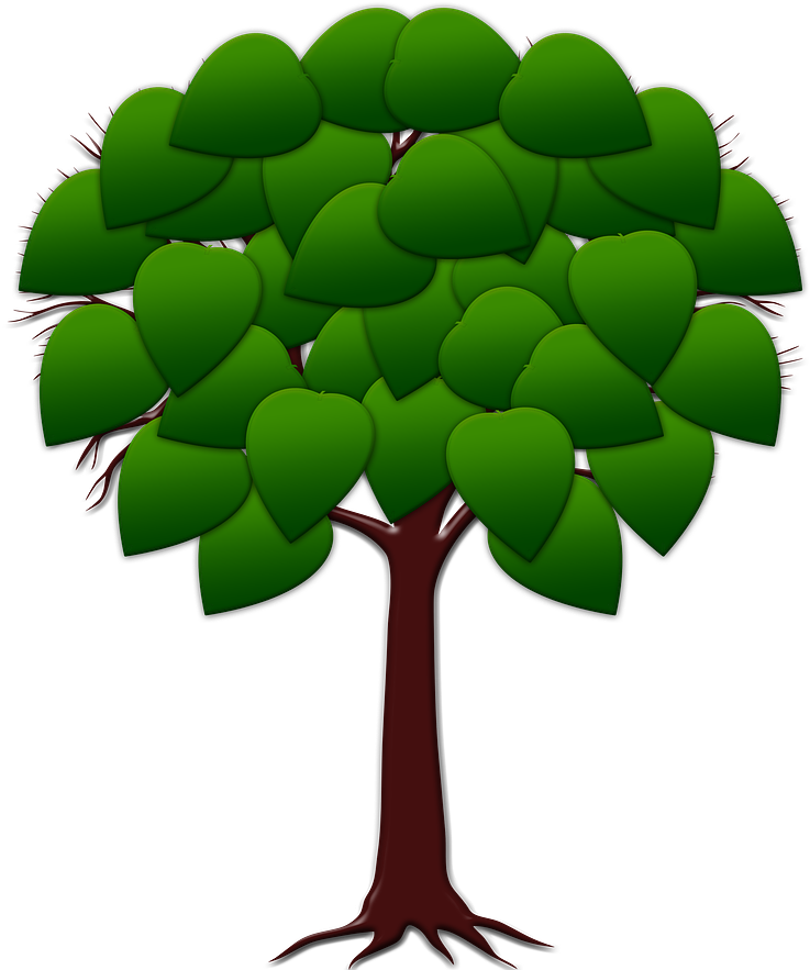 Struktur Pohon , Transparent Cartoon.