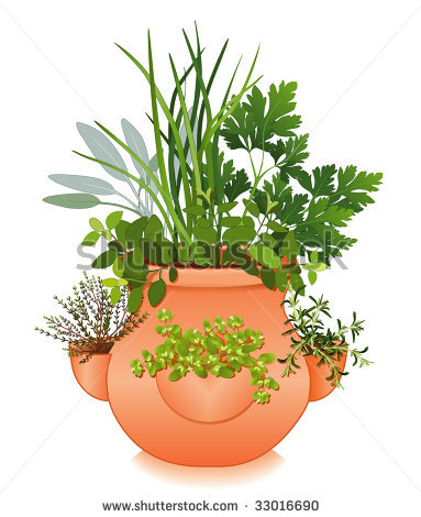 Herb Garden Clipart.