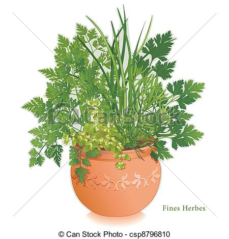 Herbs Illustrations and Clip Art. 37,168 Herbs royalty free.