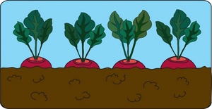 Garden Clipart Image.