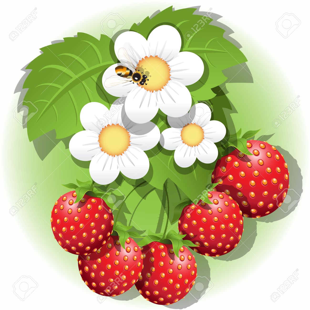 Garden strawberry clipart 20 free Cliparts | Download images on