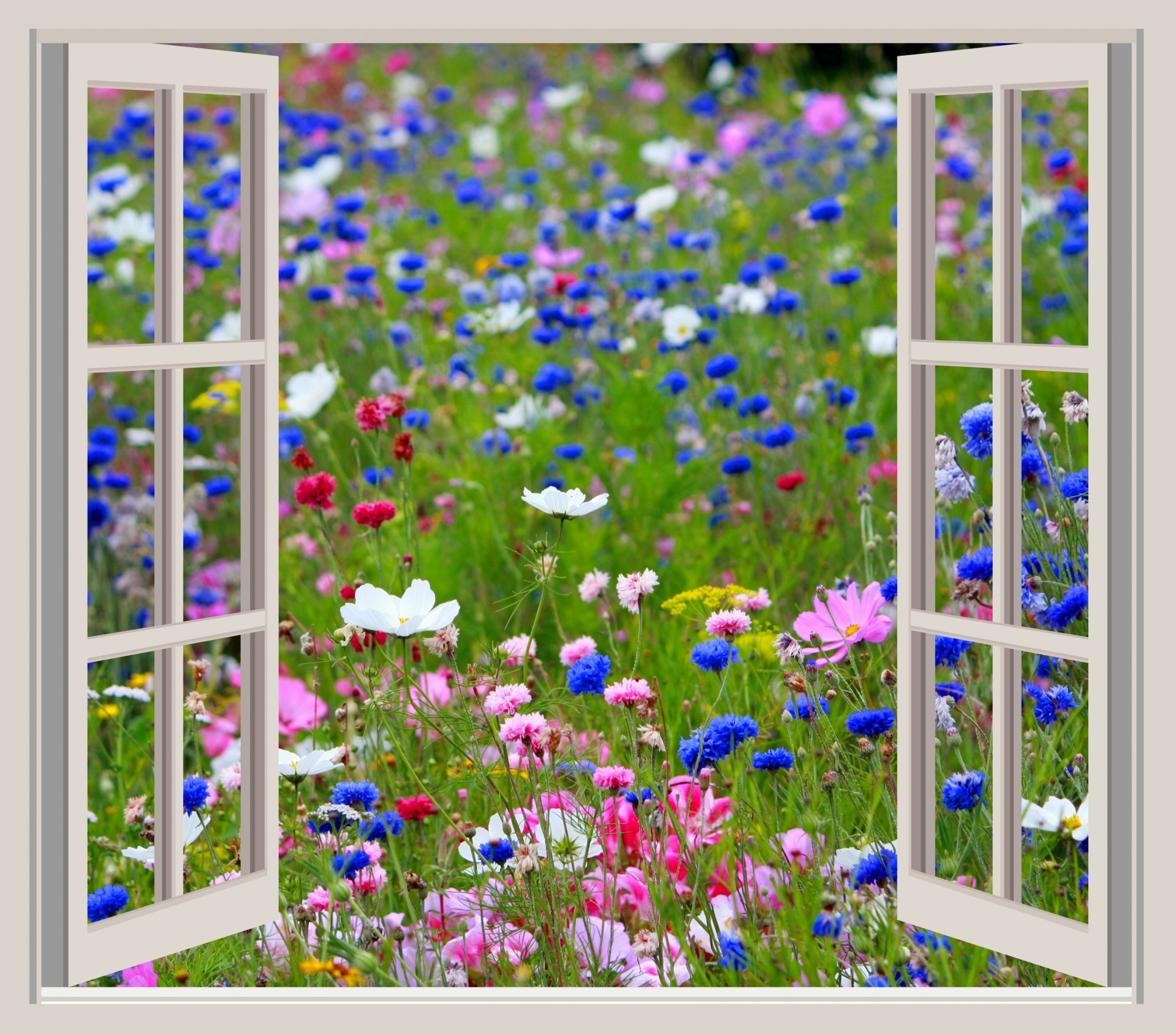 Window View Clipart 20 Free Cliparts Download Images On Clipground 2023