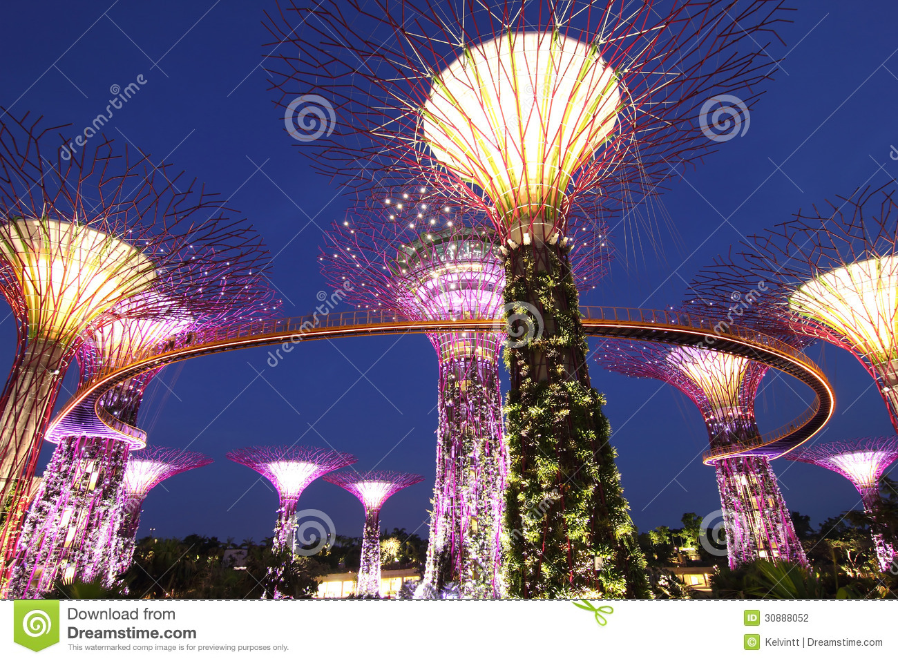 Evening View Of The Supertree Grove Stock Photography.