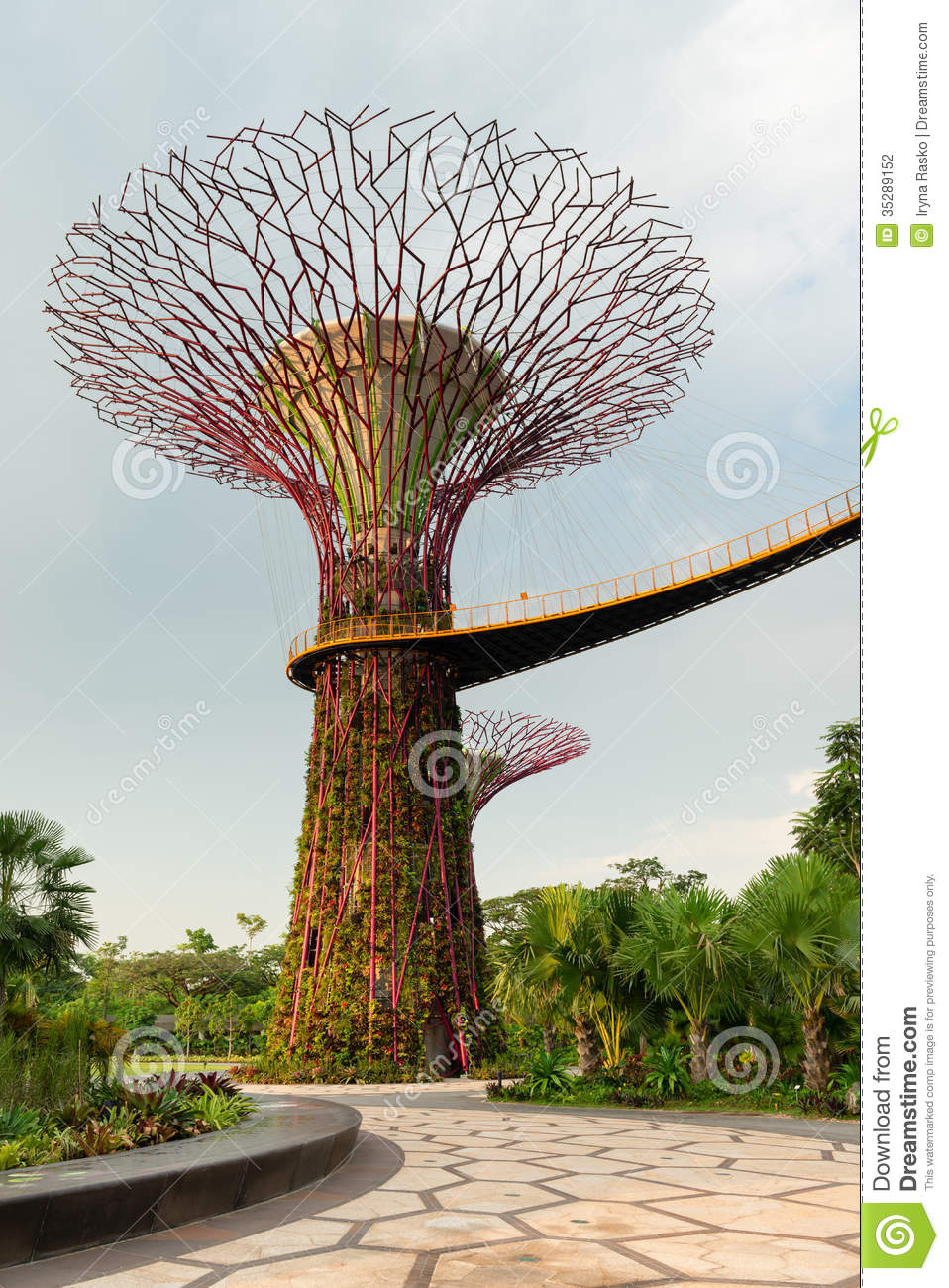 Super Tree In Gardens By The Bay Singapore Stock Photography.