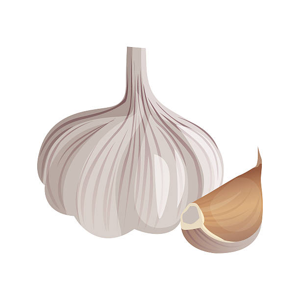 Best Garlic Illustrations, Royalty.