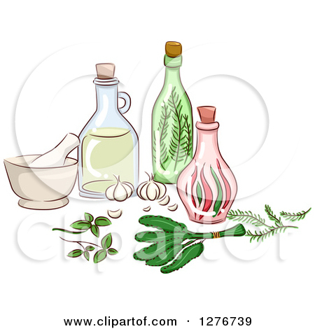 Clipart of Herbal Plants and Roots.