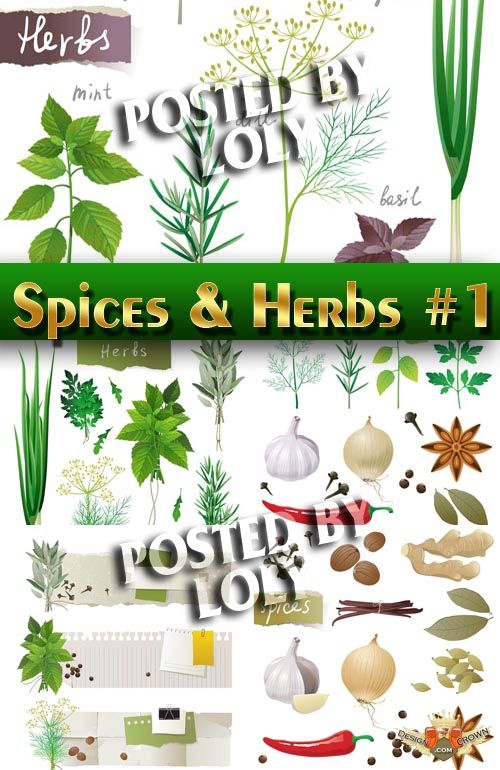 herbs, dried spices, onions, garlic vector clipart.