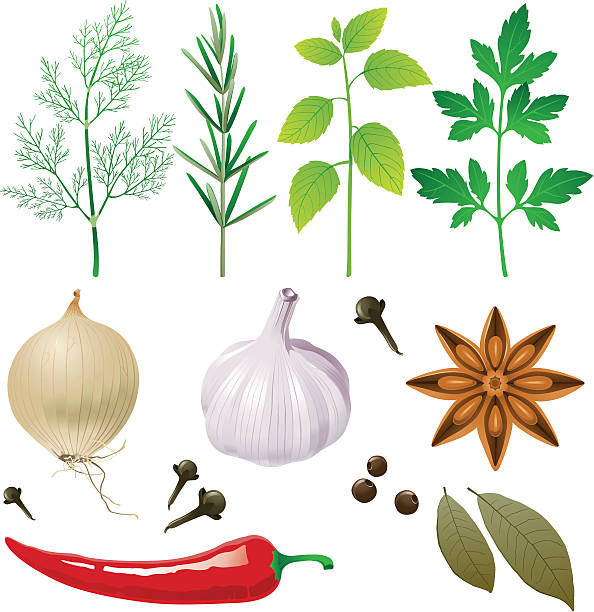 Garlic Leaves Clip Art, Vector Images & Illustrations.