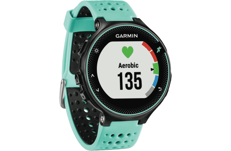 Garmin 010.