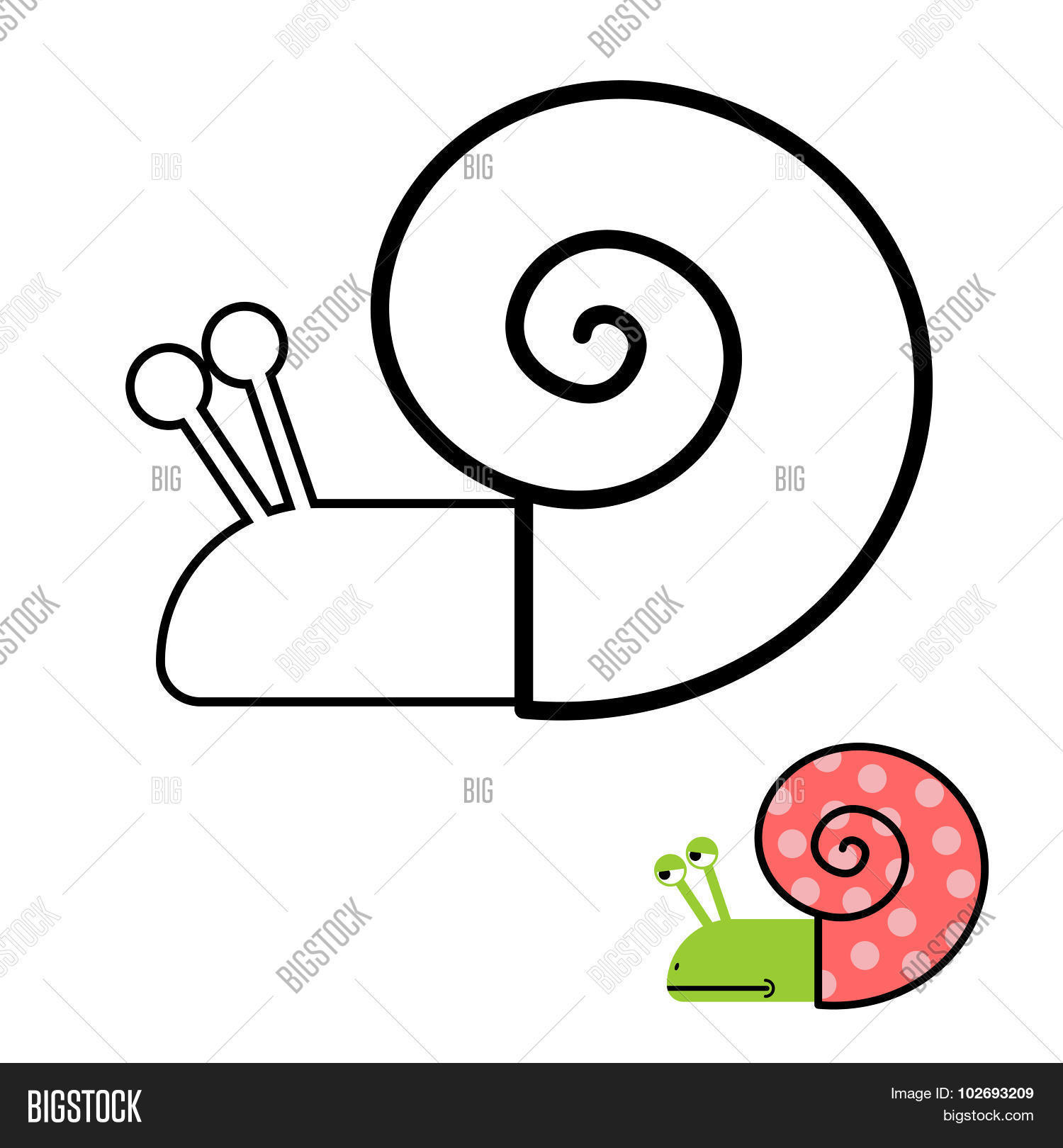 Snail Coloring Book. Gastropoda Clam With Spiral Shell. Vector.