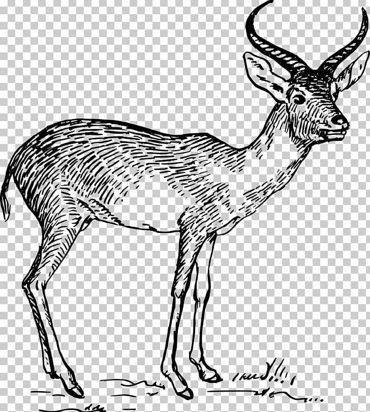 Antelope Pronghorn Gazelle PNG, Clipart, Animal Figure.