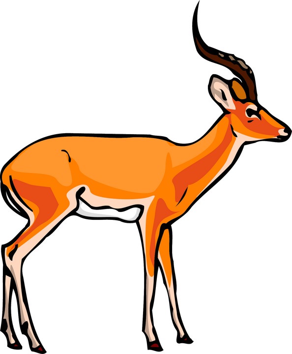 Gazelle impala clipart 20 free Cliparts | Download images on Clipground