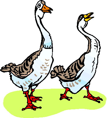 Geese Clipart.