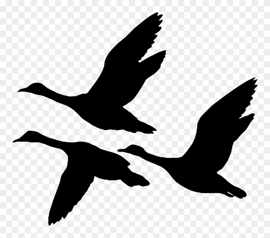 Geese Clip Art.