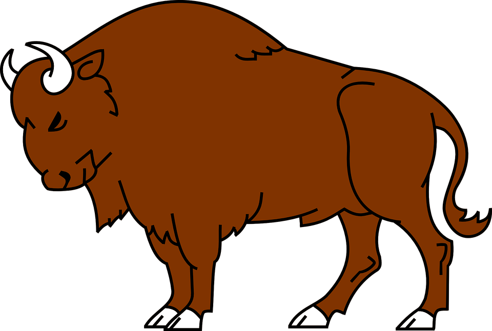 Free vector graphic: Bison, Animal, Wild, Buffalo.