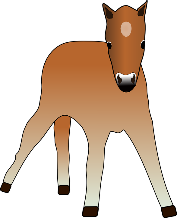 Free vector graphic: Foal, Animal, Colt, Cup, Horse.