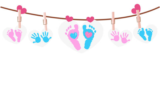 Top 60 Gender Reveal Clip Art, Vector Graphics and Illustrations.