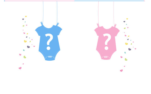 Top 60 Gender Reveal Clip Art, Vector Graphics and Illustrations.